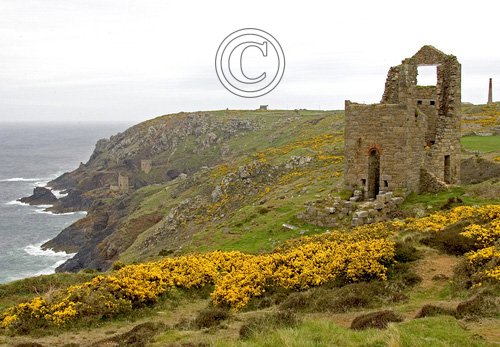 North Cornwall 3 DM0145